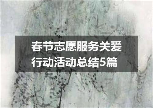 春节志愿服务关爱行动活动总结5篇