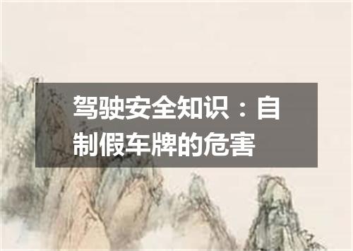 驾驶安全知识：自制假车牌的危害