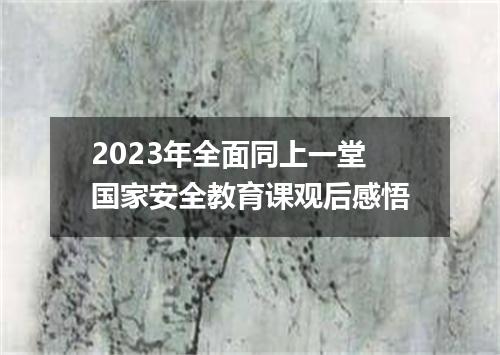 2023年全面同上一堂国家安全教育课观后感悟