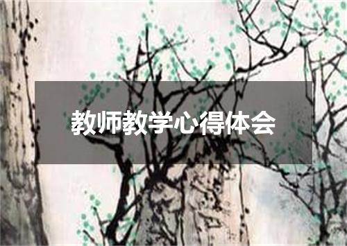 教师教学心得体会
