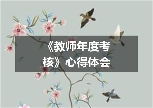 《教师年度考核》心得体会