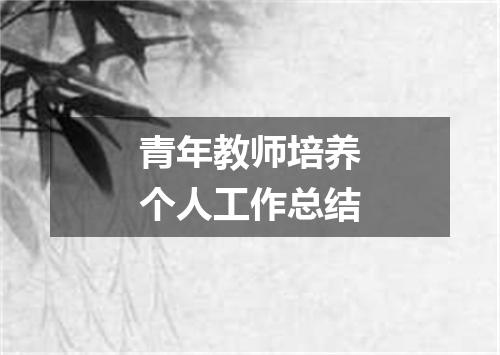 青年教师培养个人工作总结