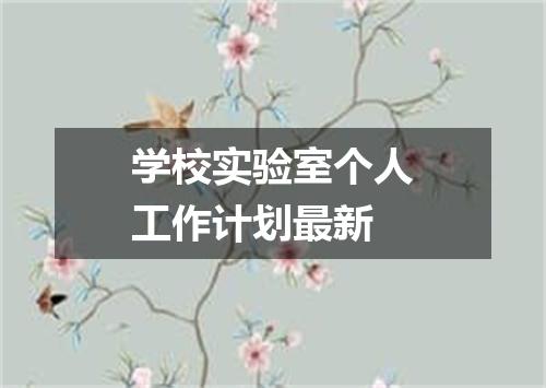 学校实验室个人工作计划最新