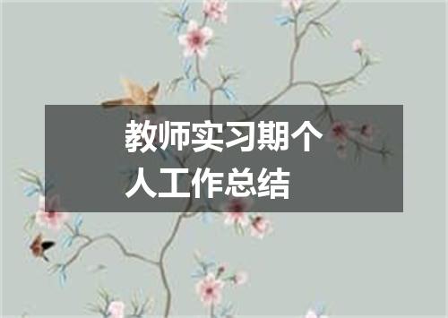 教师实习期个人工作总结