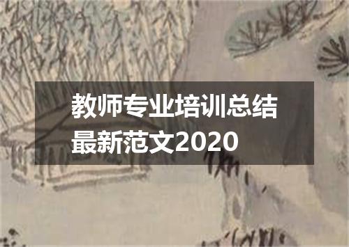 教师专业培训总结最新范文2020