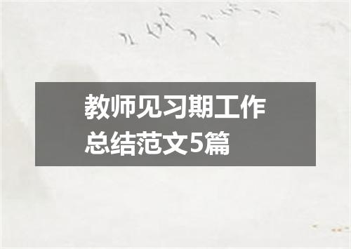 教师见习期工作总结范文5篇