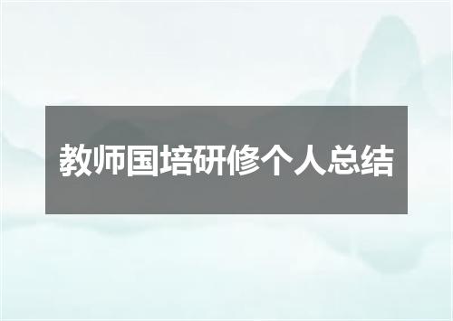 教师国培研修个人总结