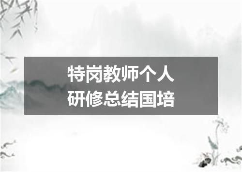 特岗教师个人研修总结国培