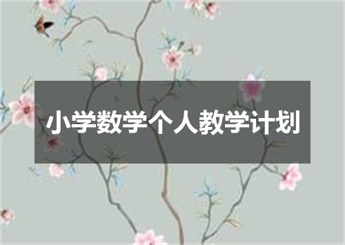 小学数学个人教学计划