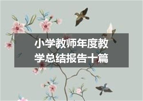小学教师年度教学总结报告十篇