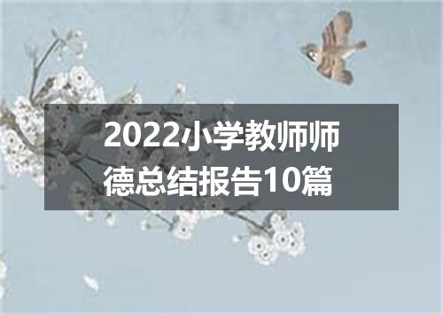 2022小学教师师德总结报告10篇