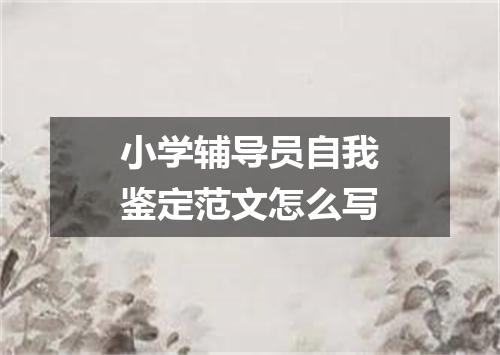 小学辅导员自我鉴定范文怎么写