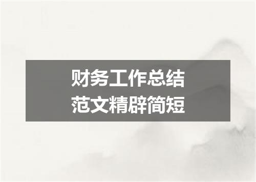 财务工作总结范文精辟简短