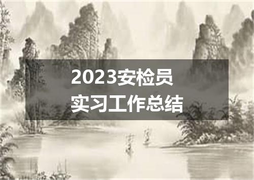 2023安检员实习工作总结