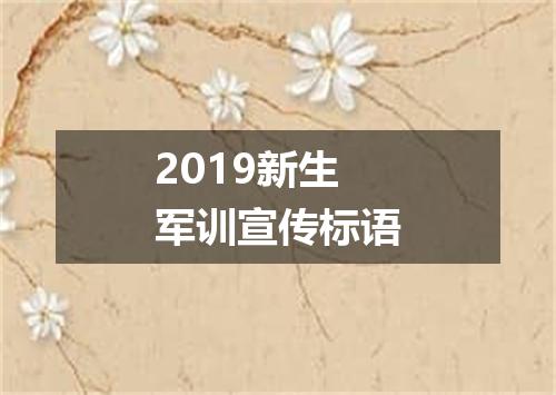 2019新生军训宣传标语