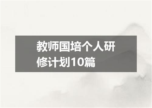 教师国培个人研修计划10篇