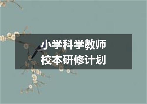 小学科学教师校本研修计划
