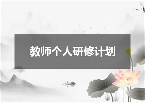 教师个人研修计划