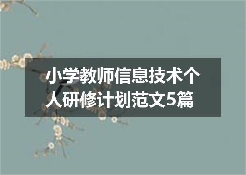 小学教师信息技术个人研修计划范文5篇