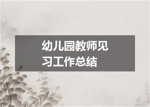 幼儿园教师见习工作总结