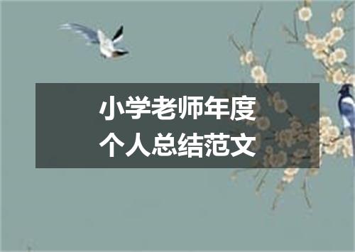 小学老师年度个人总结范文