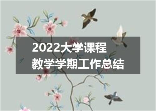 2022大学课程教学学期工作总结