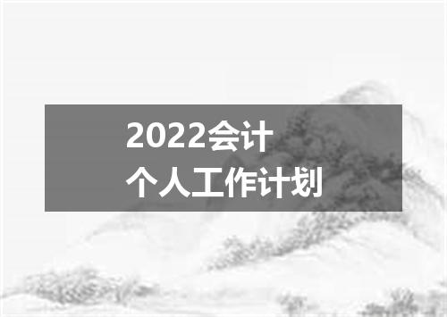 2022会计个人工作计划