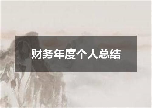 财务年度个人总结