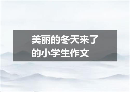 美丽的冬天来了的小学生作文