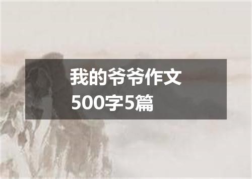 我的爷爷作文500字5篇