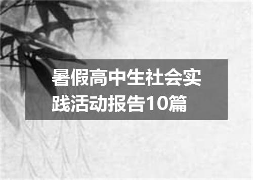 暑假高中生社会实践活动报告10篇