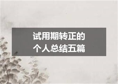 试用期转正的个人总结五篇