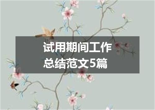 试用期间工作总结范文5篇