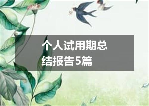 个人试用期总结报告5篇