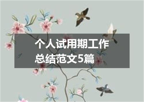 个人试用期工作总结范文5篇
