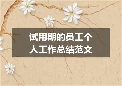 试用期的员工个人工作总结范文