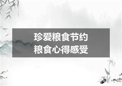 珍爱粮食节约粮食心得感受