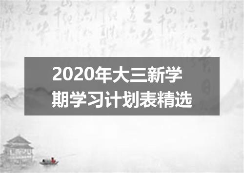 2020年大三新学期学习计划表精选