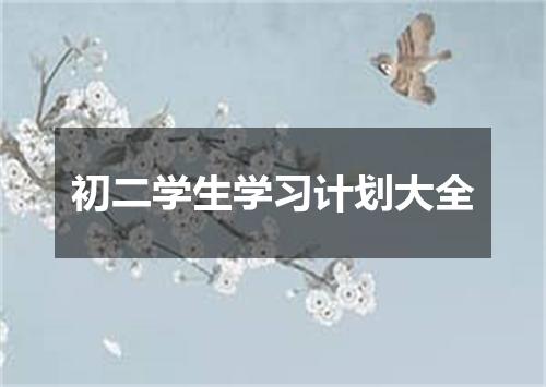 初二学生学习计划大全