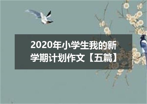 2020年小学生我的新学期计划作文【五篇】