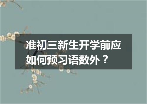 准初三新生开学前应如何预习语数外?