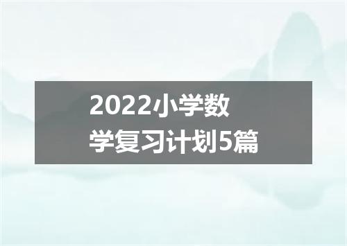 2022小学数学复习计划5篇