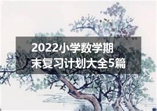 2022小学数学期末复习计划大全5篇