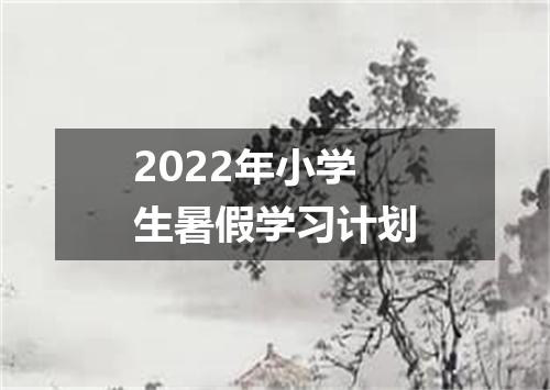 2022年小学生暑假学习计划