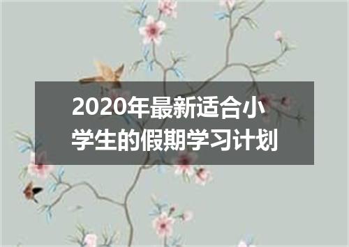 2020年最新适合小学生的假期学习计划