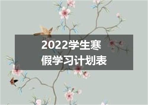2022学生寒假学习计划表
