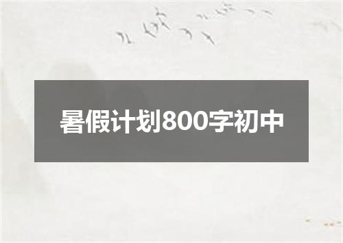 暑假计划800字初中