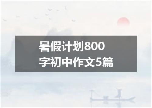 暑假计划800字初中作文5篇