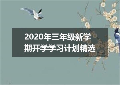 2020年三年级新学期开学学习计划精选