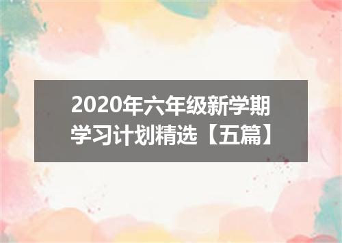 2020年六年级新学期学习计划精选【五篇】